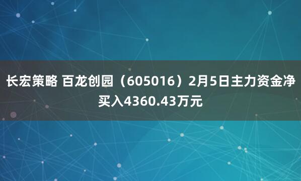 长宏策略 百龙创园（605016）2月5日主力资金净买入4360.43万元