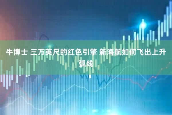 牛博士 三万英尺的红色引擎 新海航如何飞出上升弧线